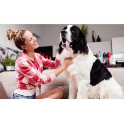 Persempra 01 - tkaina plamoodporna, przyjazna dla zwierząt