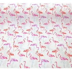 WT flamingi