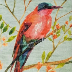 Livento Bird 6025 sea green