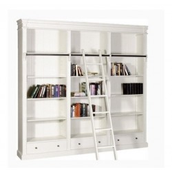 Bardzo duża biblioteczka z drabiną Elia