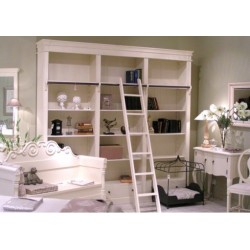 Bardzo duża biblioteczka z drabiną Elia