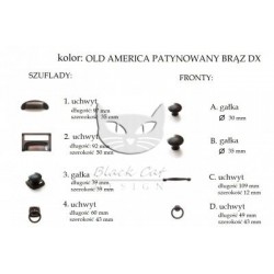 Biblioteczka NO.12 -  bardzo szeroka z drabiną