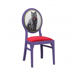 Chair with cat