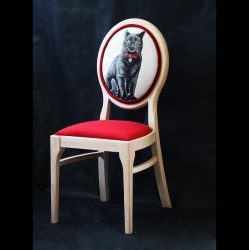 Stylkowe krzesło z czarnym kotem