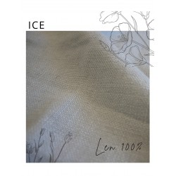 Len Ice