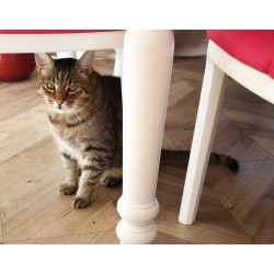 Narni krzesło na drewnianej podstawie