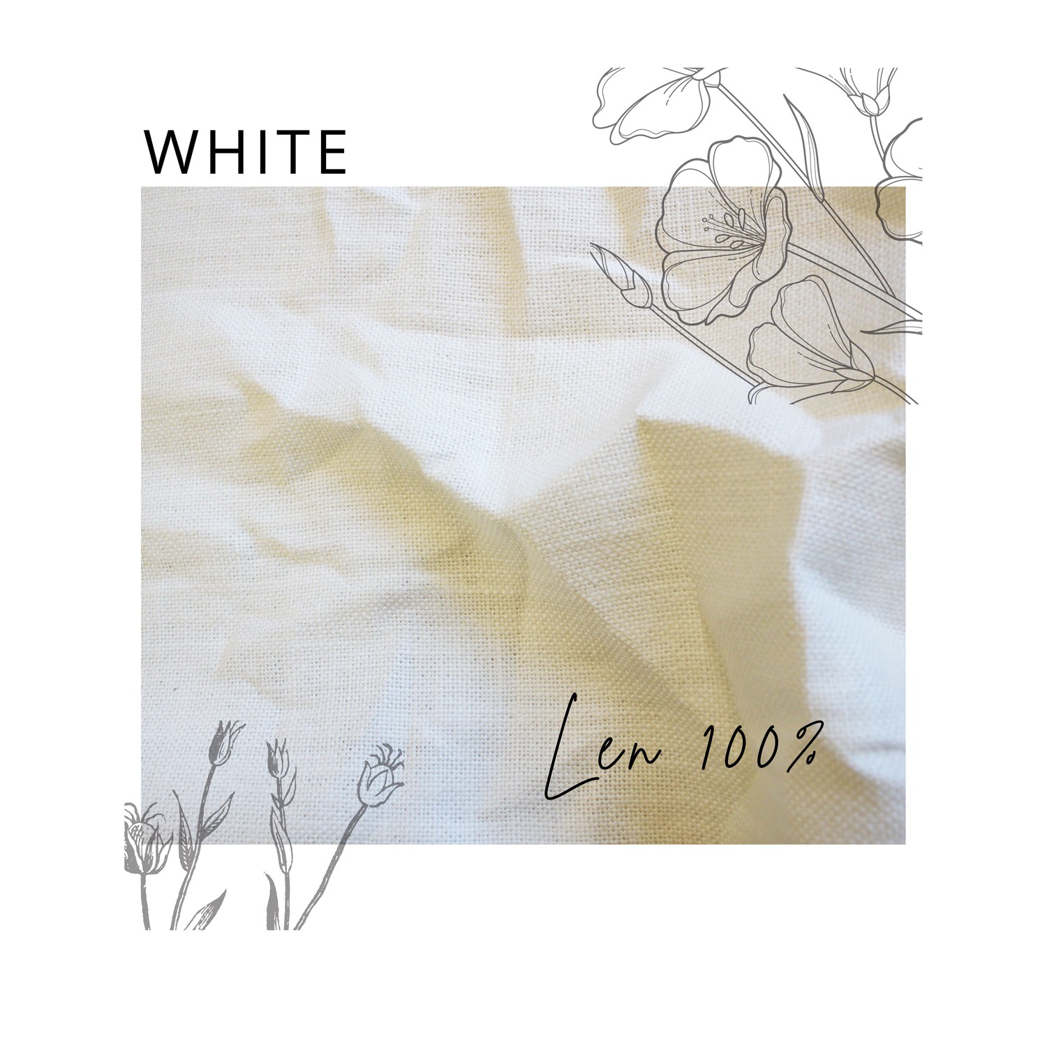 White Len 100% (+350 zł)