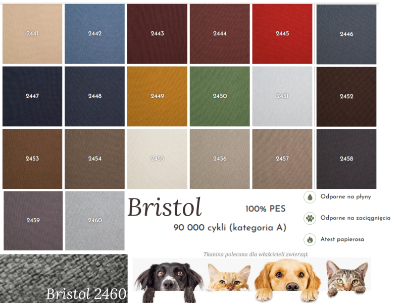 Bristol